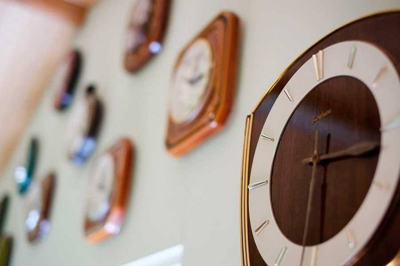 Vergaderen in een rijksmonument op plantkundig gebied