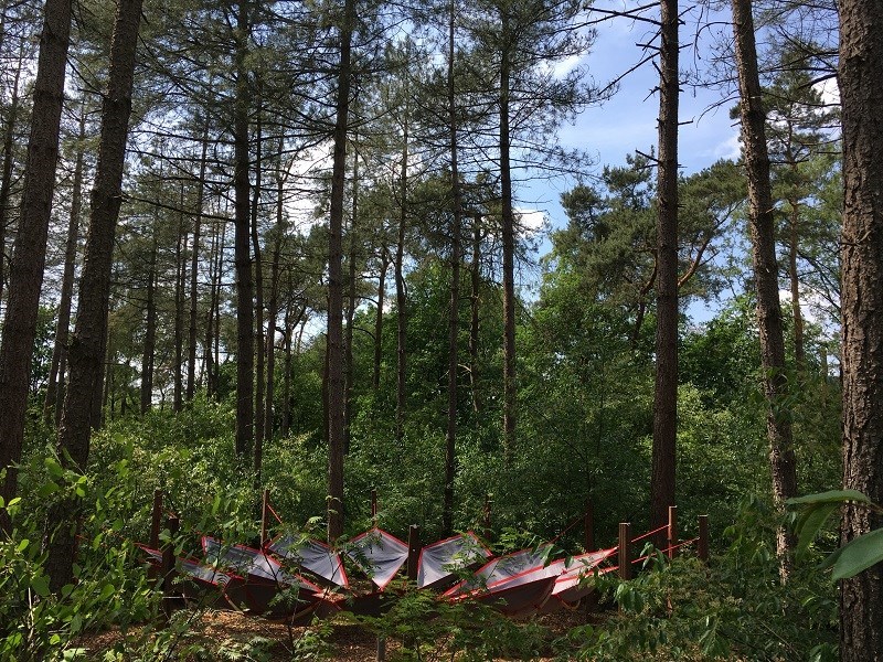 Zwevend vergaderen in een hangmat het bos in Brabant