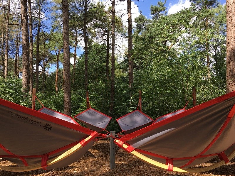Zwevend vergaderen in een hangmat het bos in Brabant