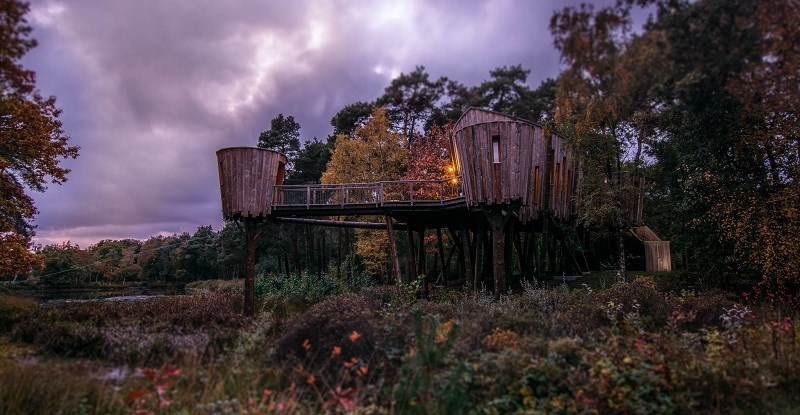 Vergaderen in een Boomhut