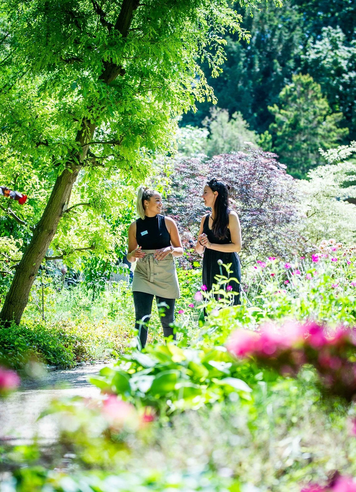 Vergaderen in een botanische tuin midden in Rotterdam