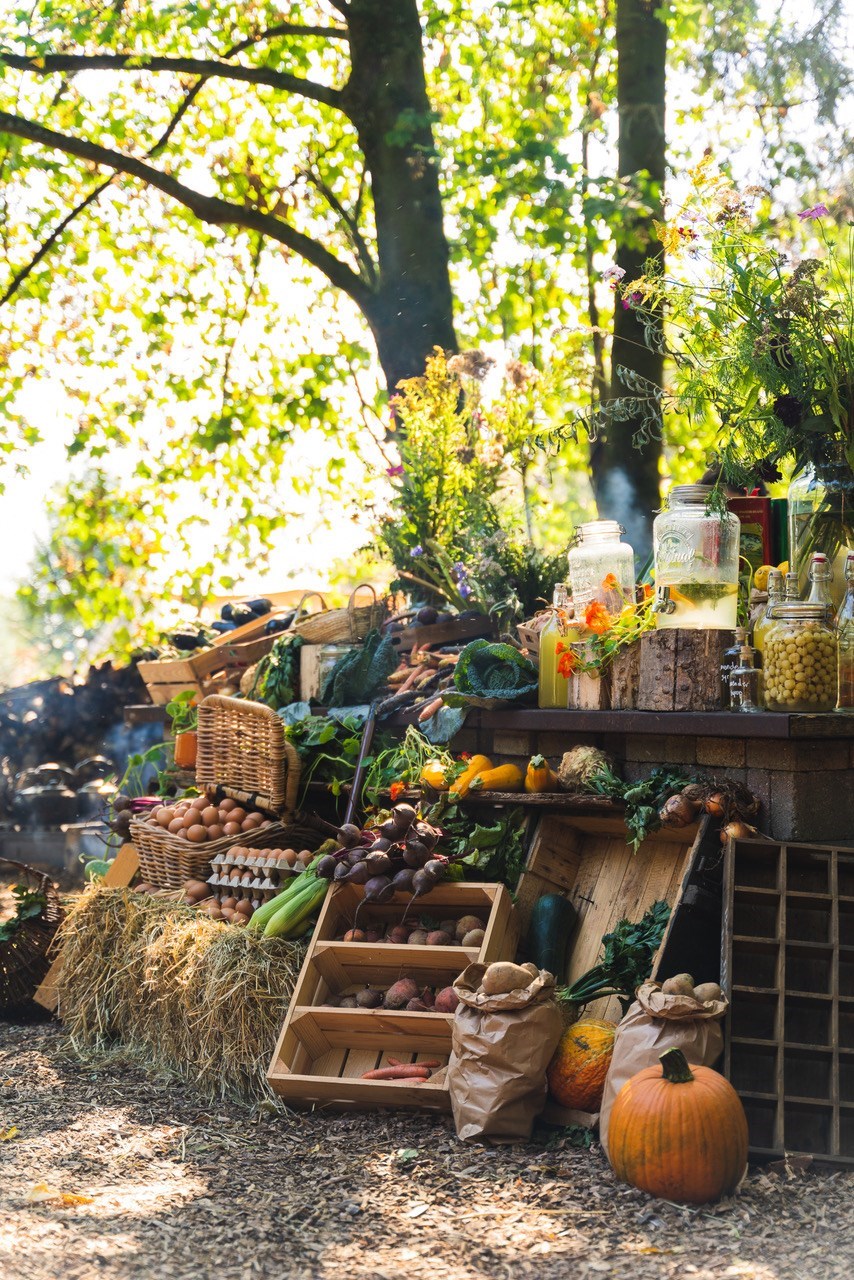 In de open lucht vergaderen in een bijzondere Boskamer
