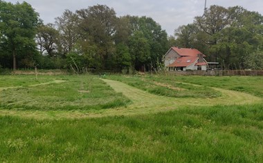Vergaderen bij een oude sluiswachterswoning uit 1859 omgeven door natuur Vergaderen bij een oude sluiswachterswoning uit 1859 omgeven door natuur