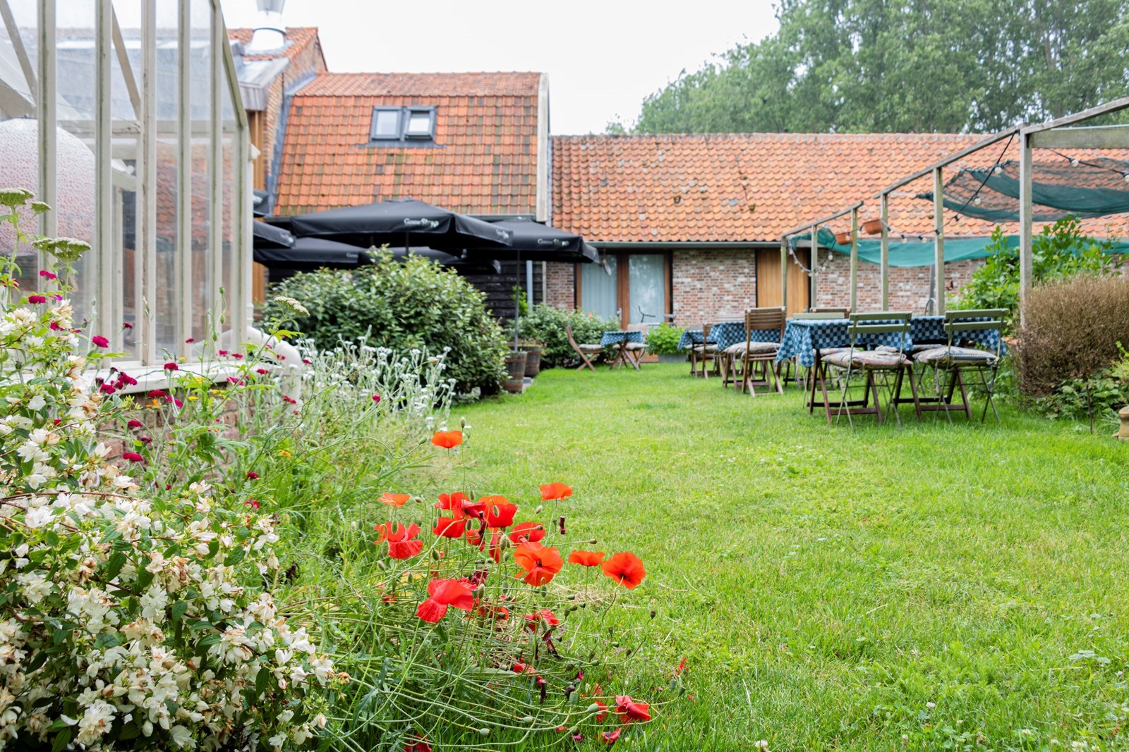 Work & play in een groene omgeving in Zeeuws Vlaanderen