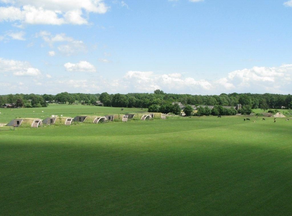 Grondulow, tussen de koeien