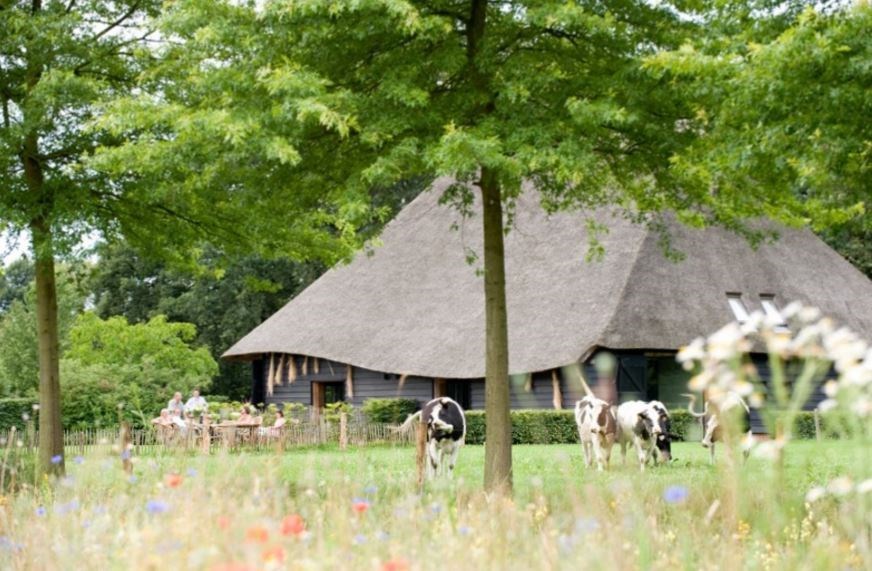 Vergaderen In Een Vlaamse Schuur Op Een Eeuwenoud Landgoed ...