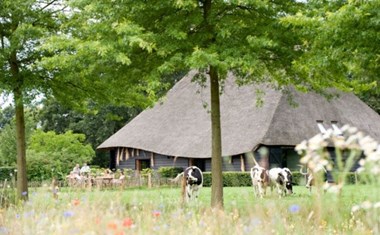 Vergaderen in een Vlaamse schuur op een eeuwenoud landgoed Vergaderen in een Vlaamse schuur op een eeuwenoud landgoed