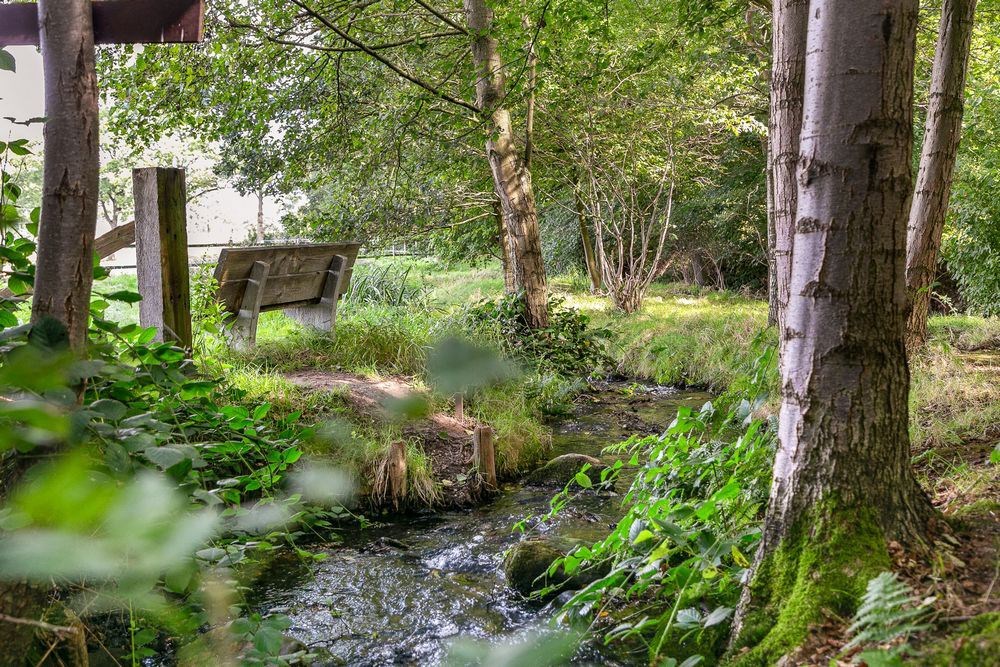 Vergaderen in een historische Watermolen