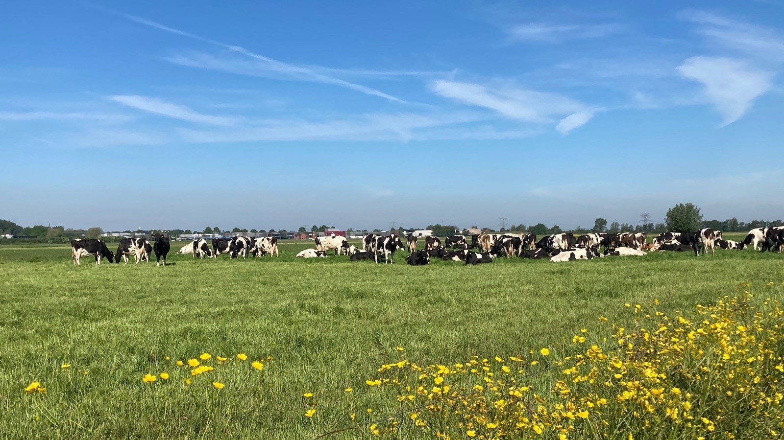 Vergaderen op een unieke Beleefboerderij