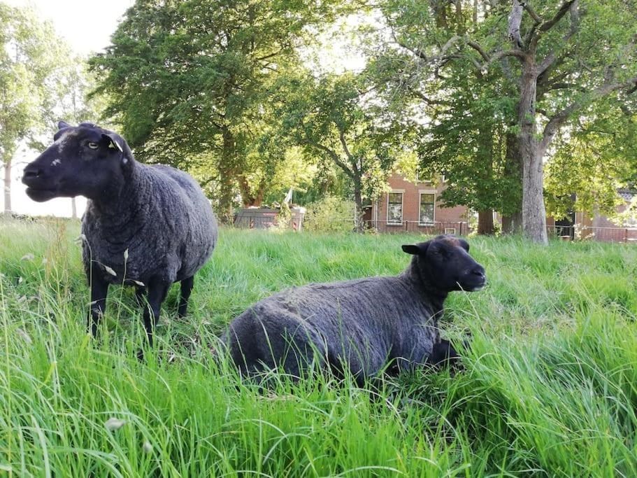 Vergaderen en overnachten op een natuurboerderij