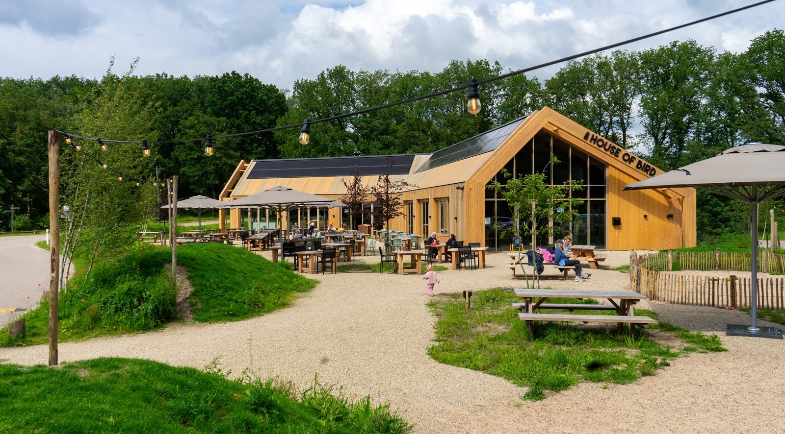 Vergaderen in een Proeflokaal van een bierbrouwerij op het meest biodiverse stuk van Nationaal Park Utrechtse Heuvelrug