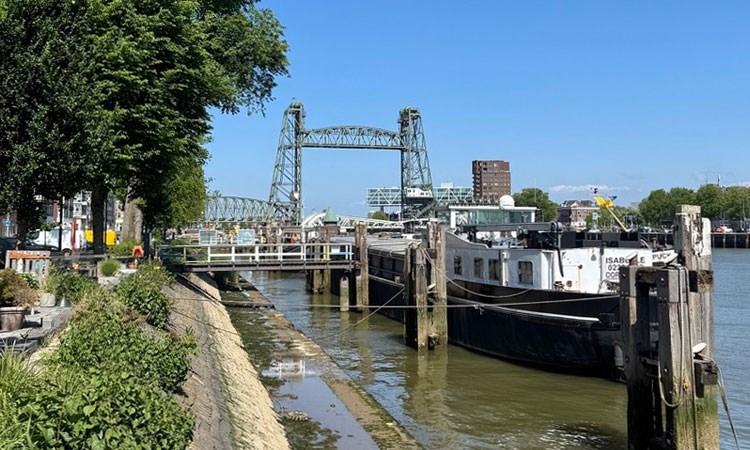 Vergaderen tussen de kunst op het Noordereiland in Rotterdam
