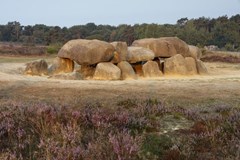 Vergaderen en overnachten in een voormalige Mestsilo Vergaderen en overnachten in een voormalige Mestsilo