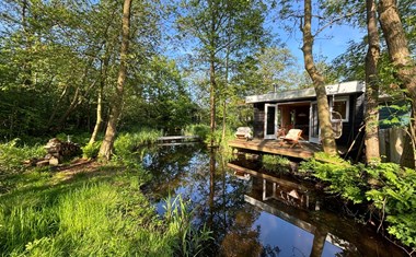 Vergaderen in een bijzonder Bosbureau in de natuur Vergaderen in een bijzonder Bosbureau in de natuur