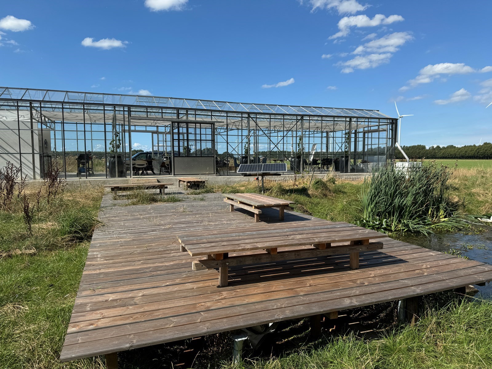 Vergaderen in een Kas in een verwilderde tuin