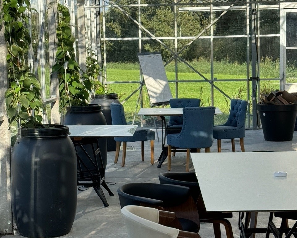 Vergaderen in een Kas in een verwilderde tuin