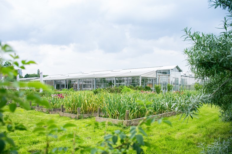 Unieke, duurzame en groene vergaderlocatie in Utrecht Unieke, duurzame en groene vergaderlocatie in Utrecht