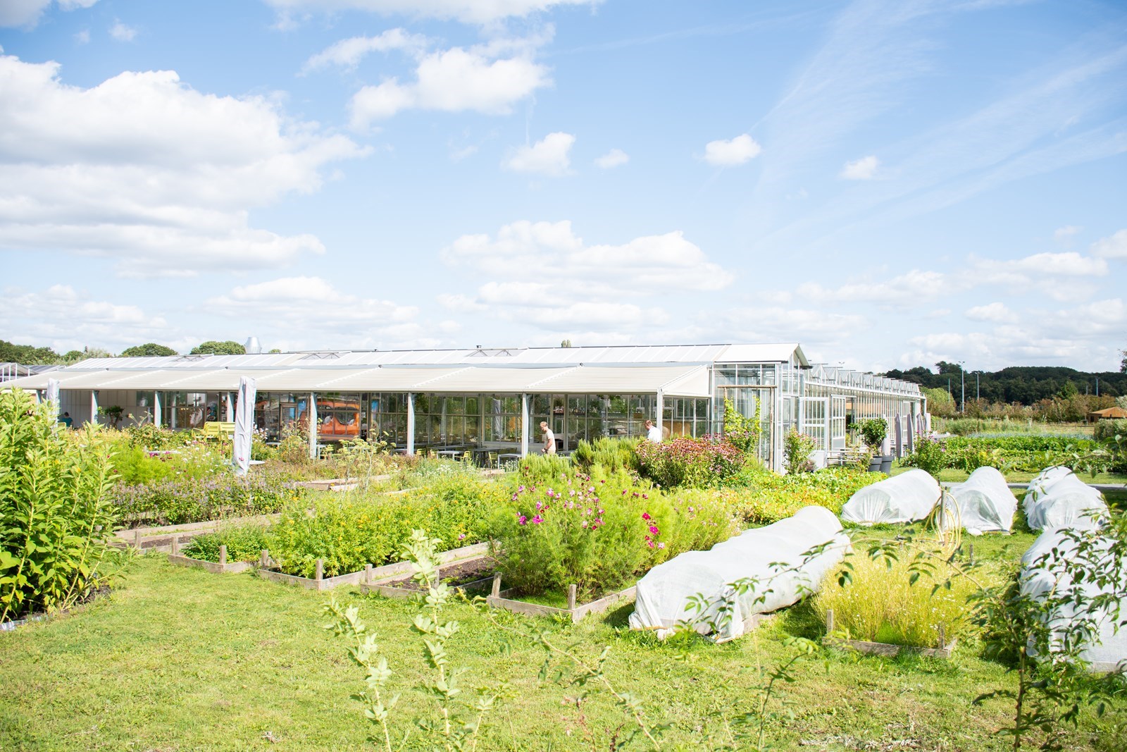 Unieke, duurzame en groene vergaderlocatie in Utrecht