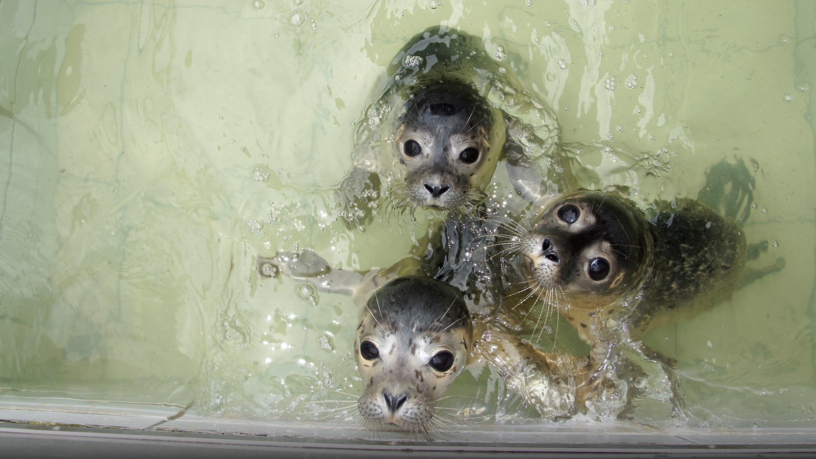 Vergaderen bij bij Ecomare in het Nationaal Park de duinen van Texel