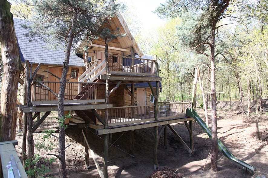 Vergaderen en overnachten in een Boomhut