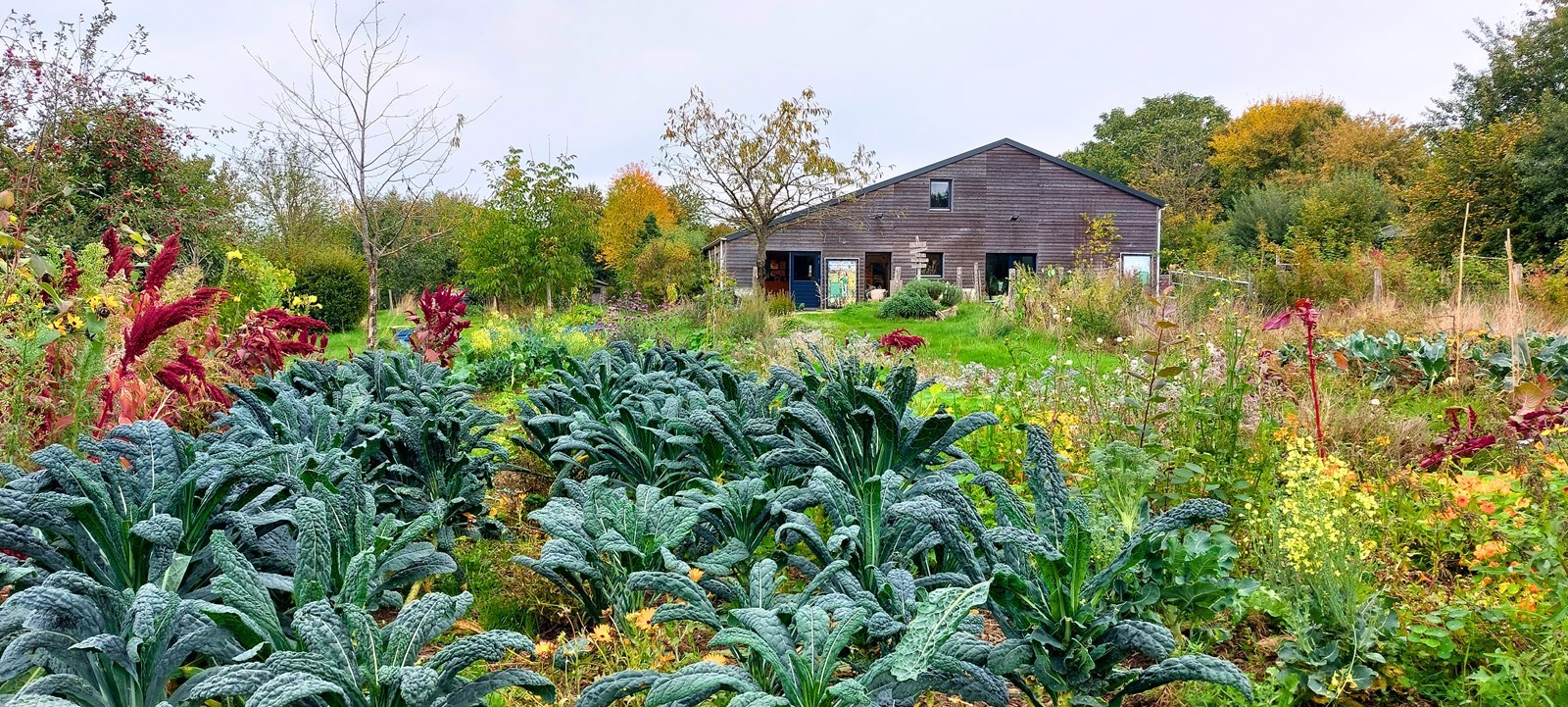 Origineel vergaderen op een natuurinclusief agrarisch familiebedrijf in Zuid-Limburg