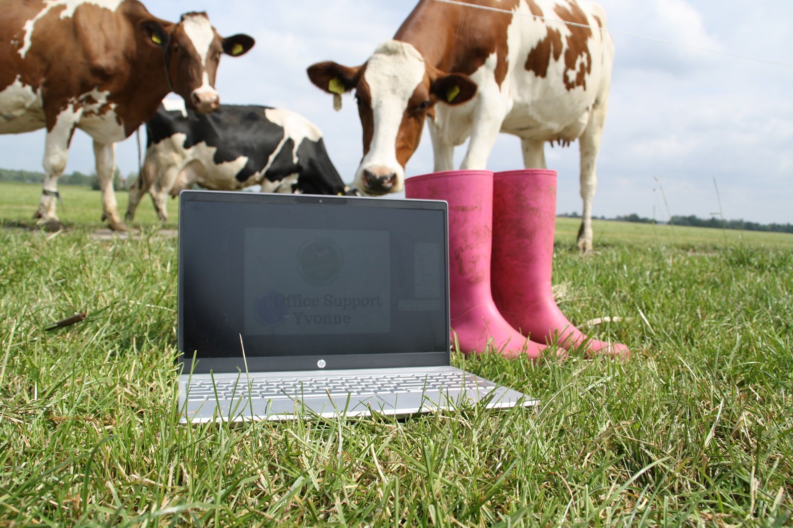 Origineel vergaderen met uitzicht op de koeien