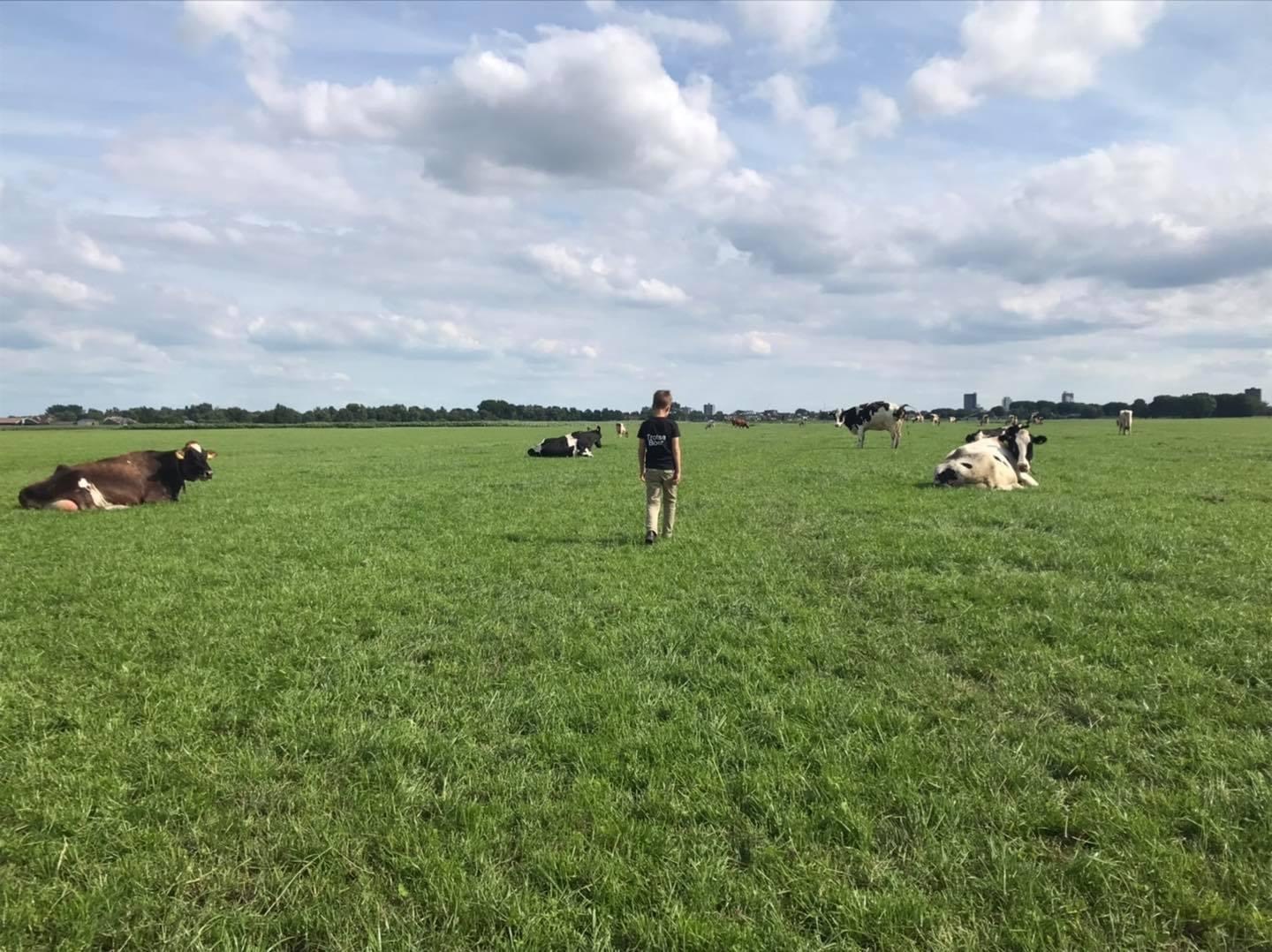 Origineel vergaderen met uitzicht op de koeien