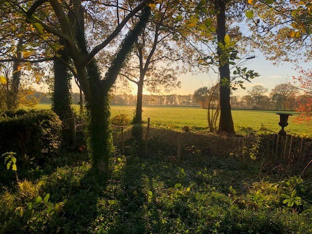 Origineel vergaderen in een Schuurhuus in een groene tuin