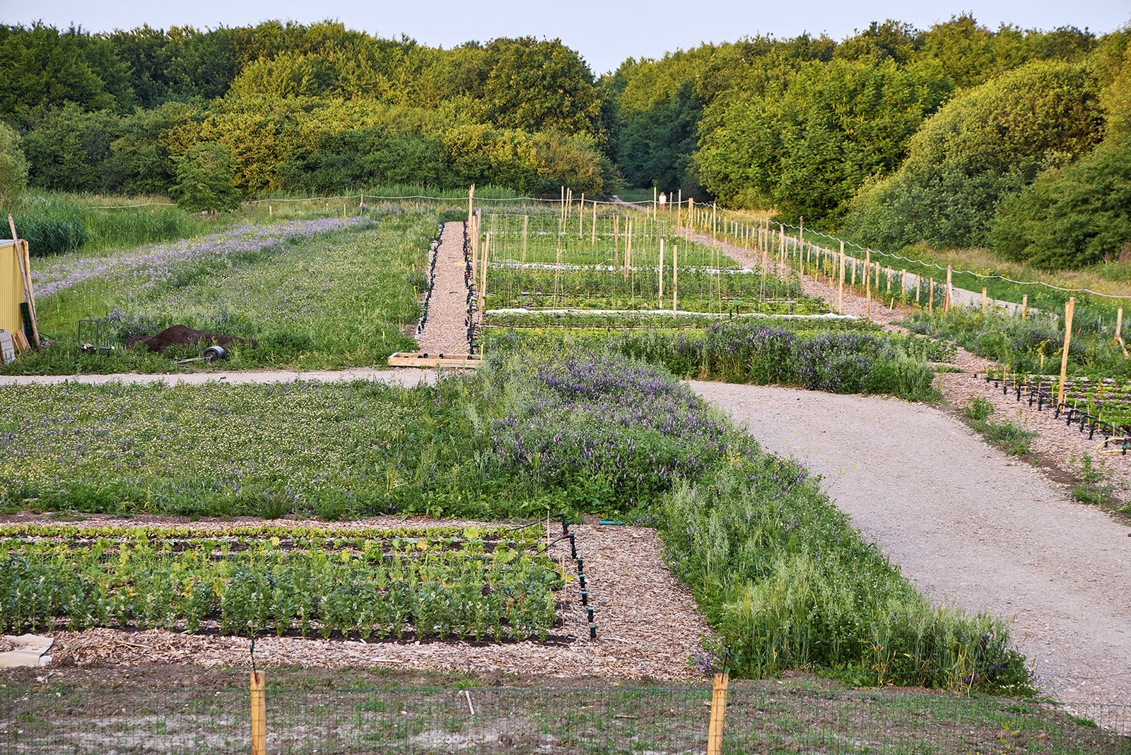 Vergaderen in een uniek biobased gebouw op een kleurrijke natuurplek vlakbij Utrecht
