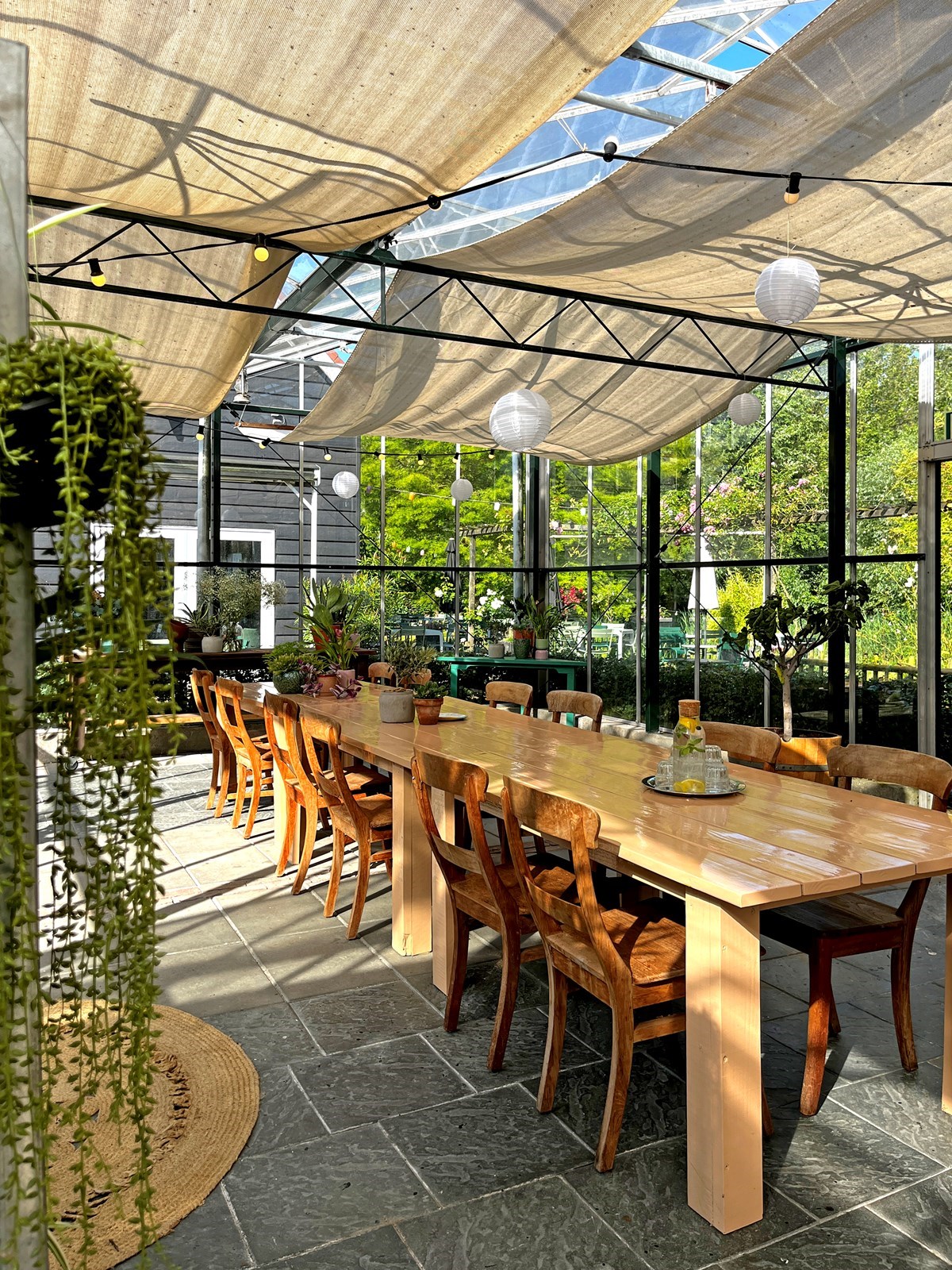 Vergaderen in een Kas in een groene Zeeuwse oase