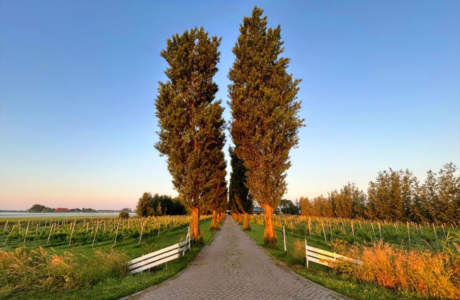 Vergaderen op een wijnboerderij bij Sneek