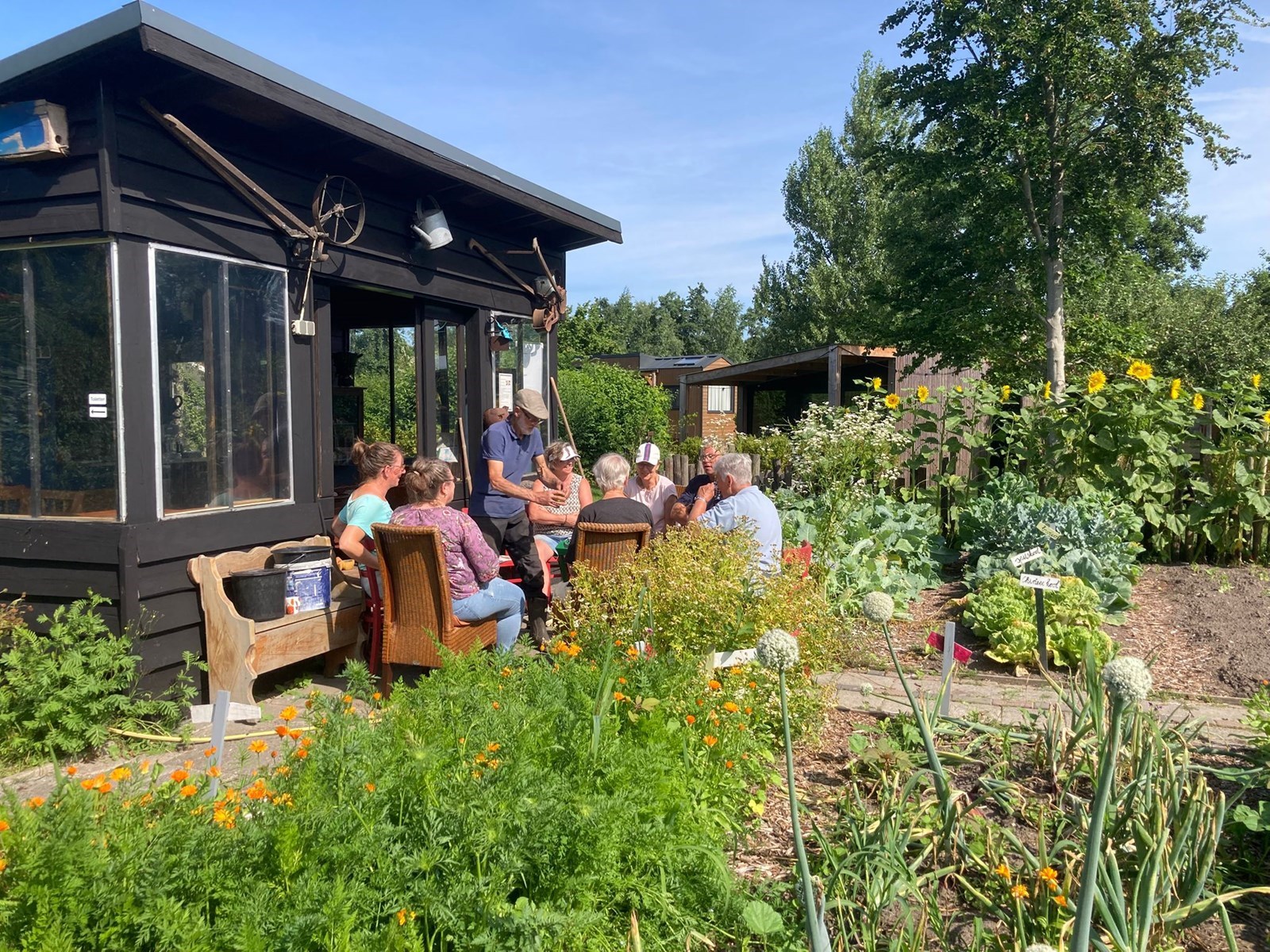 Vergaderen in duurzame greenhouses op een kleinschalig boetiekpark