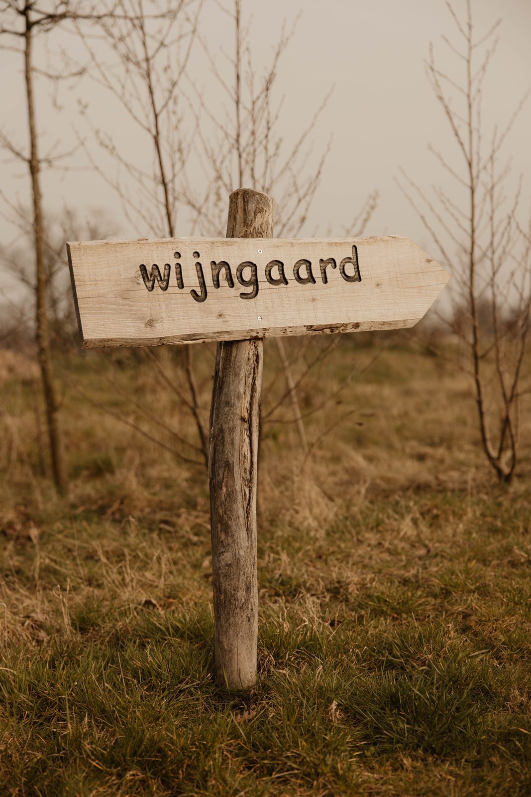 Vergaderen in een sfeervolle privélocatie in een wijngaard