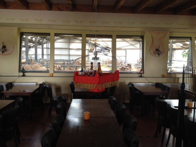 Vergaderen tussen de Kamelen