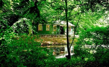 Vogeleiland in het Amsterdamse Bos Vogeleiland in het Amsterdamse Bos