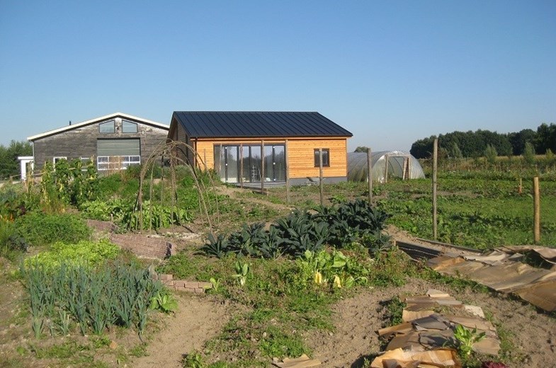 Fruitproeverij in de Betuwe Fruitproeverij in de Betuwe