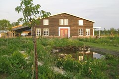 Fruitproeverij in de Betuwe Fruitproeverij in de Betuwe