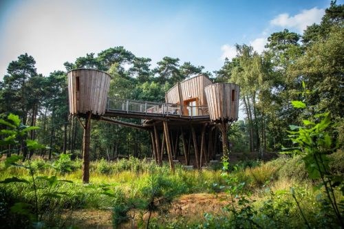 Boomhutten in Nederland
