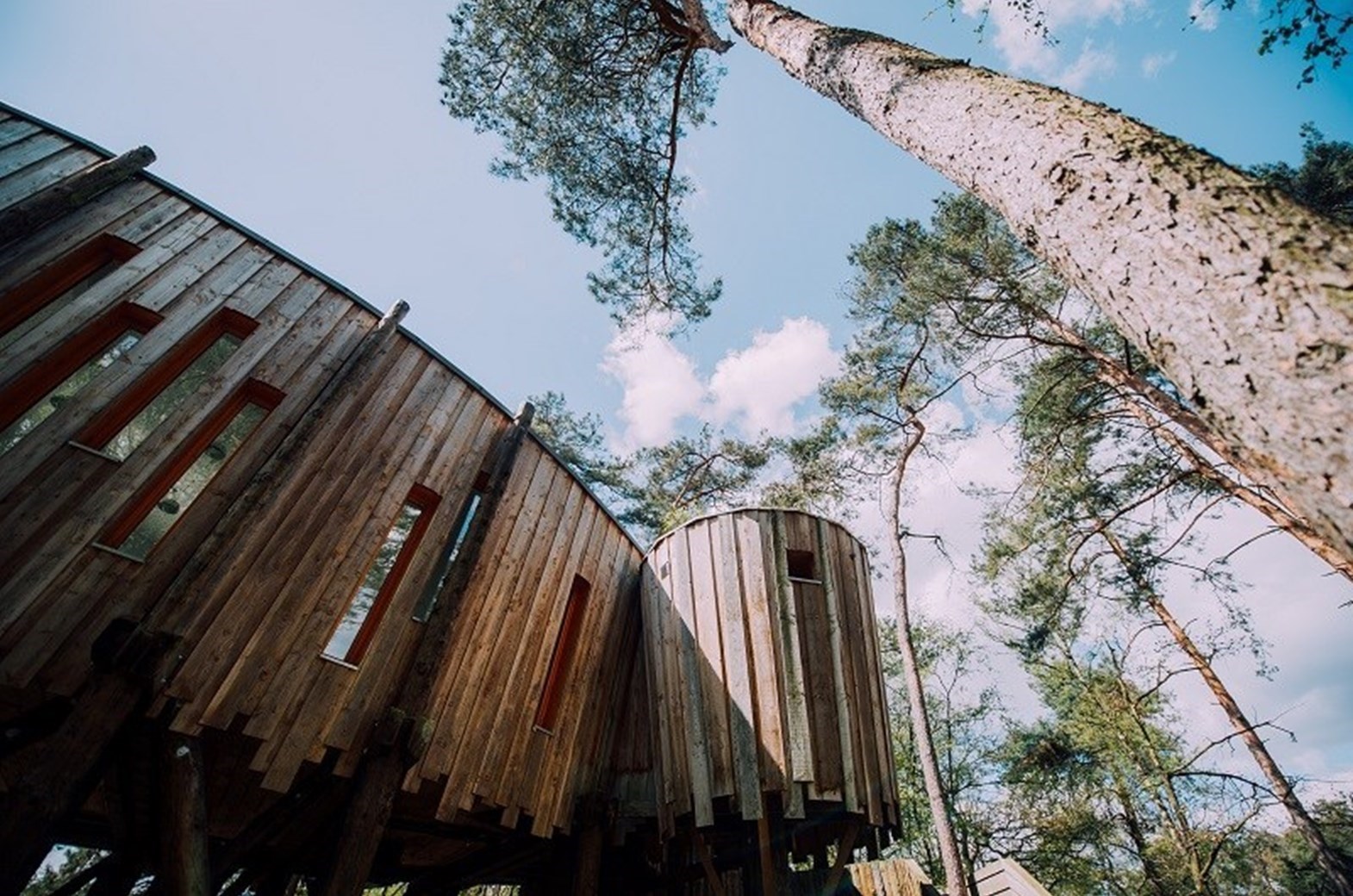 Avontuurlijk vergaderen in een boomhut