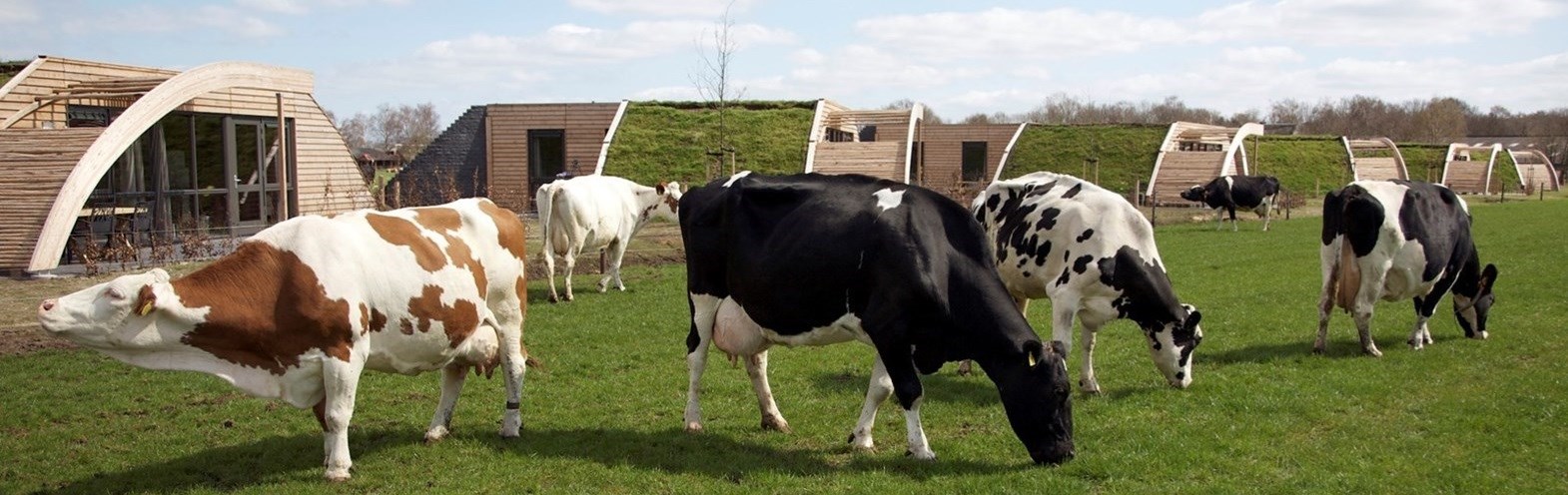 Vergaderen op een boerderij