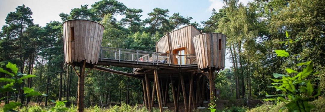 Vergaderen in een Boomhut